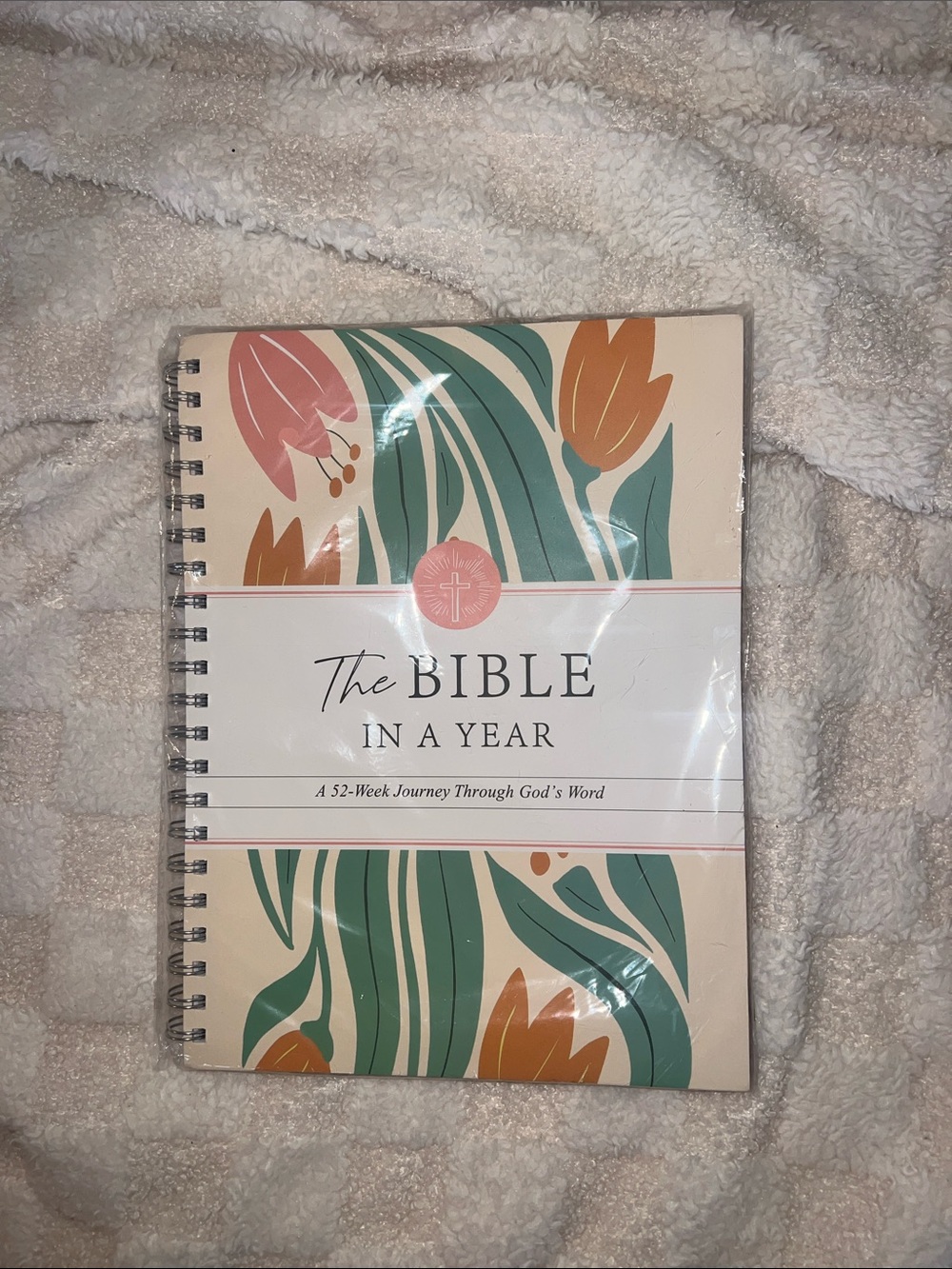 The Bible In A Year A 52-Week Study